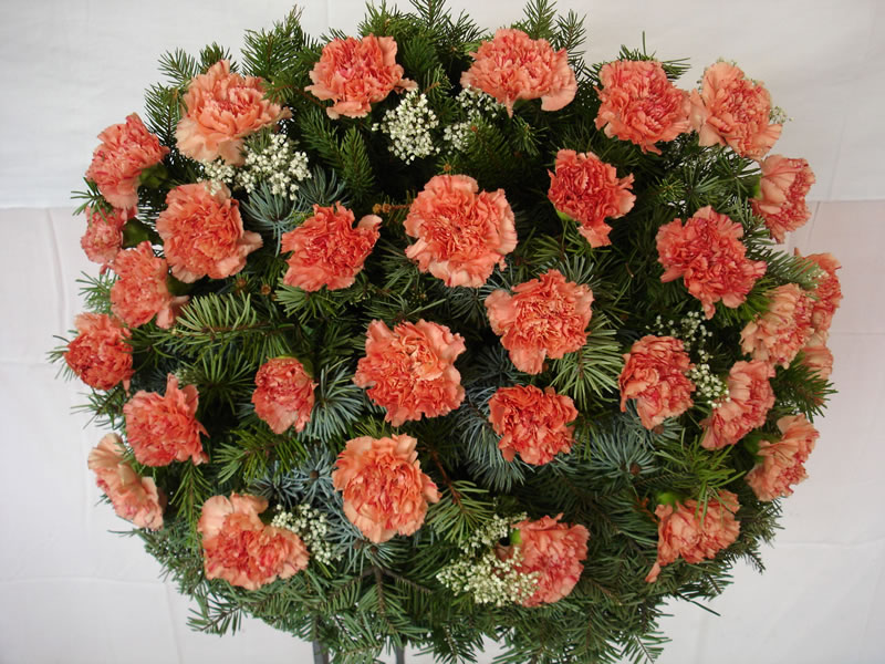 Odoo - Ukázka 3 pro tři sloupce